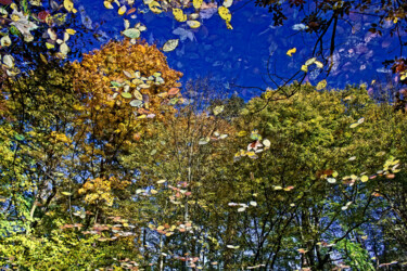 Fotografia intitolato "Autumn 1" da Jarek Rufer, Opera d'arte originale, Fotografia digitale