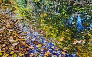 Photographie intitulée "Autumn 3" par Jarek Rufer, Œuvre d'art originale, Photographie numérique