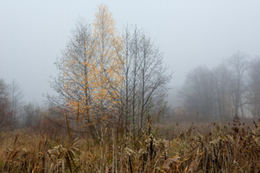 Фотография под названием "Following the Fog 1" - Jarek Rufer, Подлинное произведение искусства, Цифровая фотография