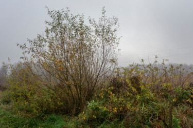 Photographie intitulée "Following the Fog 2" par Jarek Rufer, Œuvre d'art originale, Photographie numérique