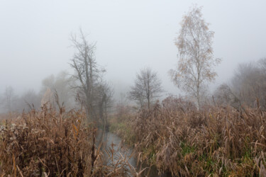 Photography titled "Following the Fog 4" by Jarek Rufer, Original Artwork, Digital Photography