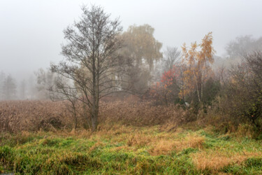 Photography titled "Following the Fog 5" by Jarek Rufer, Original Artwork, Digital Photography