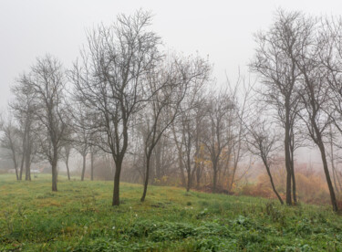 Fotografie mit dem Titel "Following the Fog 6" von Jarek Rufer, Original-Kunstwerk, Digitale Fotografie
