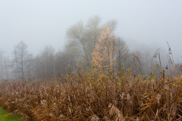 Photography titled "Following the Fog 8" by Jarek Rufer, Original Artwork, Digital Photography