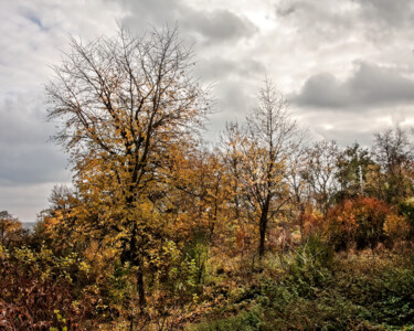 Fotografia zatytułowany „Autumn in the town 3” autorstwa Jarek Rufer, Oryginalna praca, Fotografia nie manipulowana