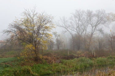 Photography titled "Following the Fog 10" by Jarek Rufer, Original Artwork, Digital Photography