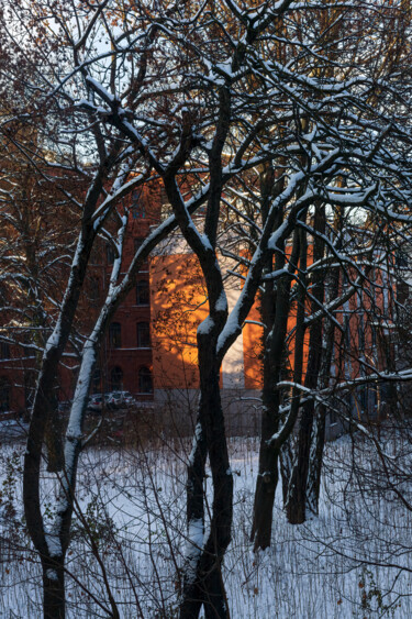 Fotografie mit dem Titel "The second snow 1" von Jarek Rufer, Original-Kunstwerk, Nicht bearbeitete Fotografie
