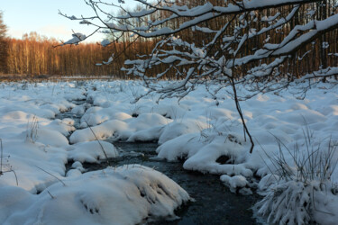 Фотография под названием "In the Winter Fores…" - Jarek Rufer, Подлинное произведение искусства, Цифровая фотография