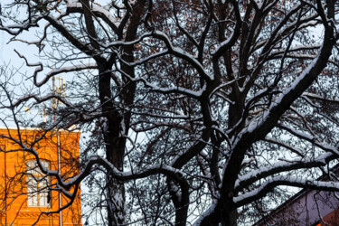 Фотография под названием "Second Snow 4" - Jarek Rufer, Подлинное произведение искусства, Не манипулируемая фотография