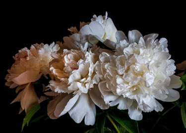 Fotografia intitulada "Blooming 'White Peo…" por Jarek Rufer, Obras de arte originais, Fotografia digital