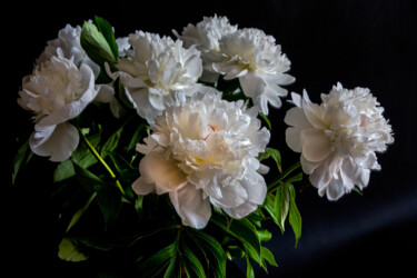 Fotografie mit dem Titel "Blooming 'White Peo…" von Jarek Rufer, Original-Kunstwerk, Digitale Fotografie