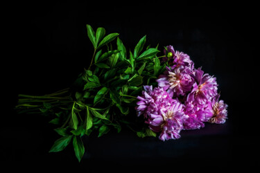 Photographie intitulée "Blooming Peonies 6" par Jarek Rufer, Œuvre d'art originale, Photographie numérique