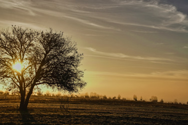 Fotografia intitolato "le matin d'automne" da Jarek Witkowski, Opera d'arte originale