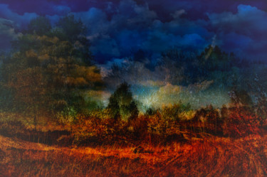 Digitale Kunst mit dem Titel "forêt magique" von Jarek Witkowski, Original-Kunstwerk