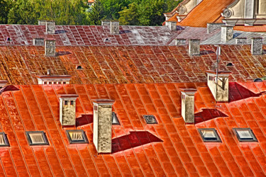 Fotografia zatytułowany „toits rouges” autorstwa Jarek Witkowski, Oryginalna praca