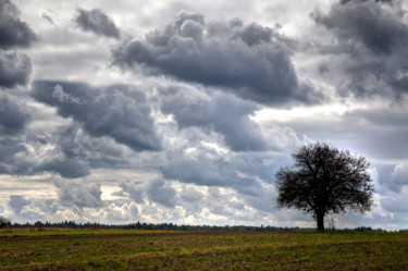 Fotografie getiteld "arbre solitaire" door Jarek Witkowski, Origineel Kunstwerk