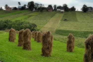 Fotografie getiteld "récolte de foin / h…" door Jarek Witkowski, Origineel Kunstwerk