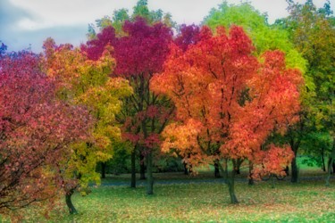 couleurs d'automne / autumn colors Photography titled "couleurs d'automne…" by Jarek Witkowski, Original Art,