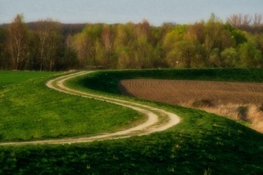 Fotografie getiteld "chemin / path" door Jarek Witkowski, Origineel Kunstwerk