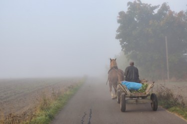 Fotografia intitulada "cheval dans le brou…" por Jarek Witkowski, Obras de arte originais