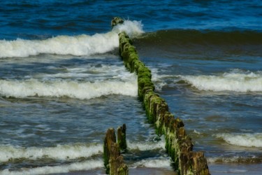 Fotografia intitulada "brise-lames en bois…" por Jarek Witkowski, Obras de arte originais