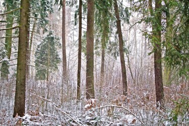 Fotografia zatytułowany „la neige tombait /…” autorstwa Jarek Witkowski, Oryginalna praca