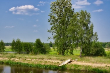 Fotografia zatytułowany „arrêt sur la rivièr…” autorstwa Jarek Witkowski, Oryginalna praca