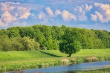 Fotografie getiteld "été au bord de la r…" door Jarek Witkowski, Origineel Kunstwerk