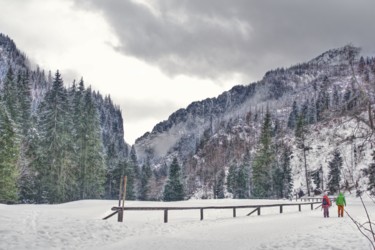 Photographie intitulée "promenade d'hiver d…" par Jarek Witkowski, Œuvre d'art originale