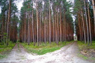 Fotografie mit dem Titel "quel chemin?" von Jarek Witkowski, Original-Kunstwerk