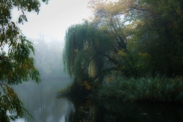 Photographie intitulée "brume d'automne au…" par Jarek Witkowski, Œuvre d'art originale