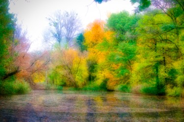 Photography titled "étang d'automne" by Jarek Witkowski, Original Artwork