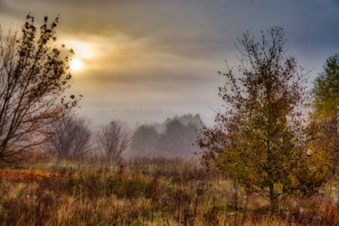 Photographie intitulée "prairie d'automne d…" par Jarek Witkowski, Œuvre d'art originale
