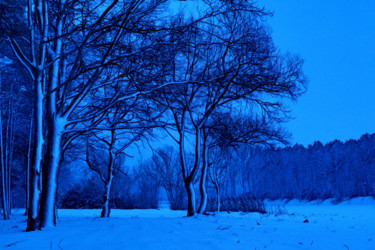 Fotografía titulada "soirée d'hiver" por Jarek Witkowski, Obra de arte original