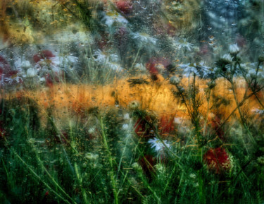 Photographie intitulée "MM prairie" par Jarek Witkowski, Œuvre d'art originale