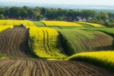 Photographie intitulée "collines de printem…" par Jarek Witkowski, Œuvre d'art originale