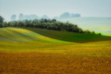 Photographie intitulée "champ arc-en-ciel" par Jarek Witkowski, Œuvre d'art originale