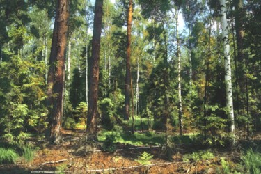 Fotografie mit dem Titel "forêt mixte d'été" von Jarek Witkowski, Original-Kunstwerk