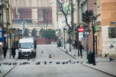 Fotografia intitolato "où pigeons marchant…" da Jarek Witkowski, Opera d'arte originale