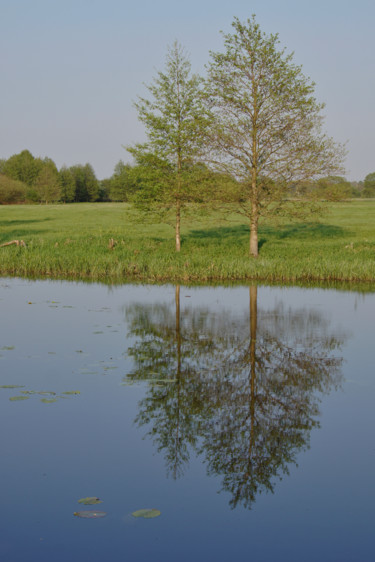 Fotografia intitolato "matin de printemps…" da Jarek Witkowski, Opera d'arte originale