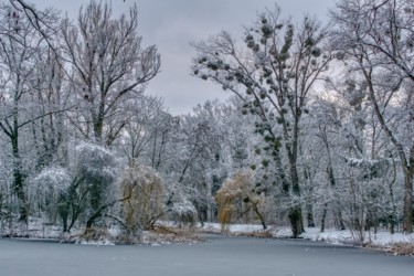 Fotografia zatytułowany „étang d'hiver dans…” autorstwa Jarek Witkowski, Oryginalna praca