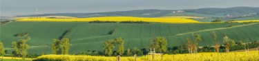 Fotografía titulada "panorama de printem…" por Jarek Witkowski, Obra de arte original