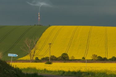 Photographie intitulée "Champ de colza mora…" par Jarek Witkowski, Œuvre d'art originale, Photographie numérique