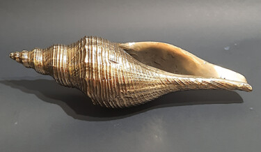 Sculptuur getiteld "Golden Shell" door Jaromir Gargulak, Origineel Kunstwerk, Bronzen