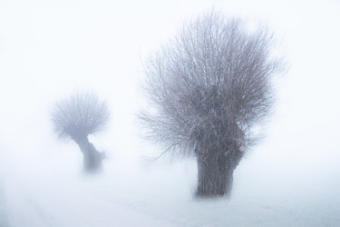 Fotografía titulada "Foggy day" por Jarek Sieczkowski, Obra de arte original, Fotografía digital