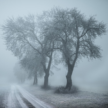 Fotografía titulada "Fog at noon" por Jarek Sieczkowski, Obra de arte original, Fotografía digital