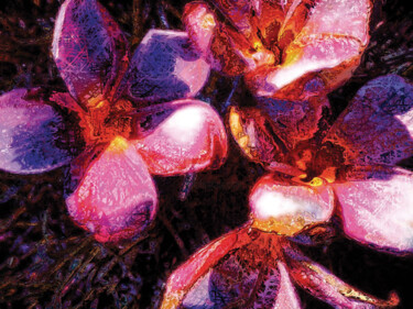 Arts numériques intitulée "Flor de mayo/XL lar…" par Javier Diaz, Œuvre d'art originale, Photographie manipulée