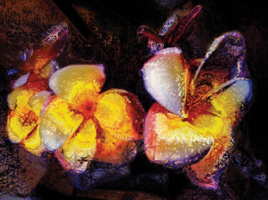 Digital Arts με τίτλο "Flor de mayo 2/XL l…" από Javier Diaz, Αυθεντικά έργα τέχνης, Χειρισμένη φωτογραφία