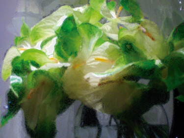 Arte digitale intitolato "Pecera con flores/X…" da Javier Diaz, Opera d'arte originale, Fotografia manipolata