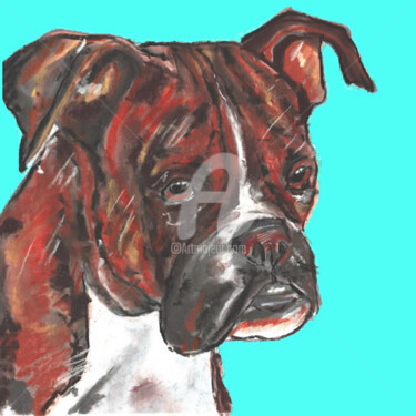 Drawing titled ""Boxer " A Limited…" by Jb Studio, Original Artwork, Charcoal